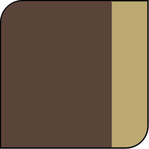 Mocha/Gold