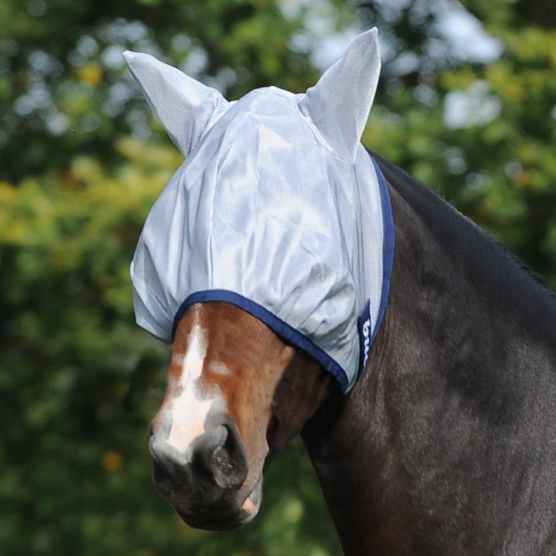 Toklat| Buzz Off Fly Mask